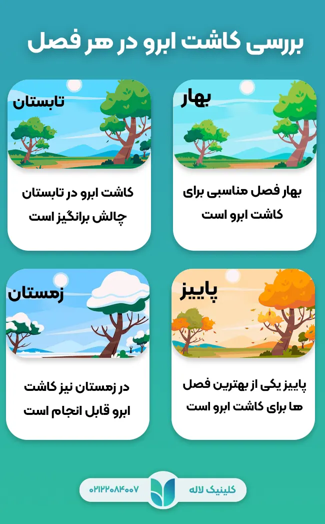 بررسی کاشت ابرو در هر فصل