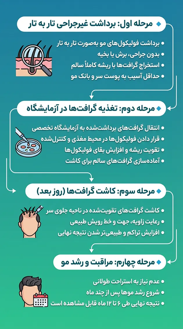 مراحل کاشت مو به روش FFB